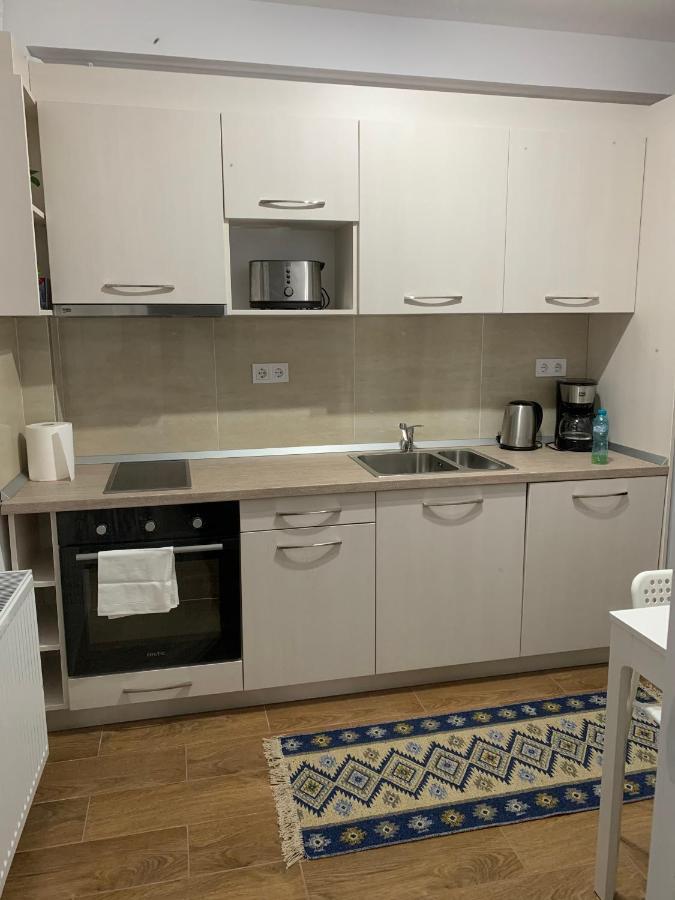 Welcoming Gemini Apartment 1 Hermannstadt Exterior foto